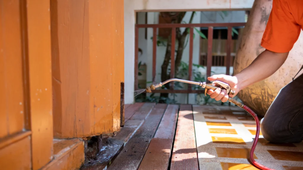 blog-preventive-pest-control